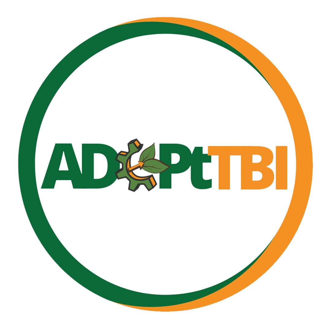 adept tbi